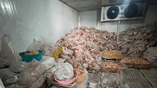 معدوم‌سازی لاشه مشکوک گوشت ۲۰۰ کیلویی با دستور مقام قضایی