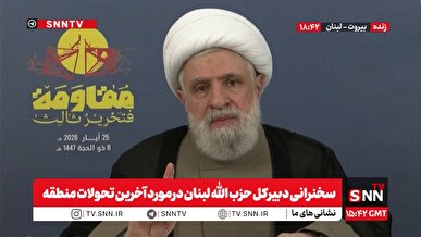 شیخ نعیم قاسم: این پیروزی حاصل همکاری ارتش، مردم و مقاومت بود