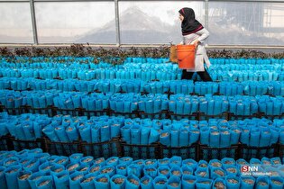 تولید و عرضه نهال‌های نوین در صنعت باغداری کشور