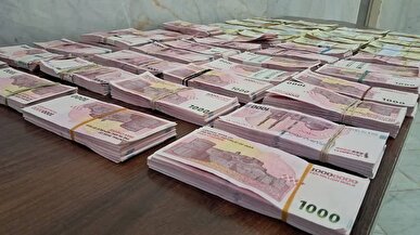 مرزبانان تایباد از قاچاق ۴۴۶ میلیارد ریال پول نقد به افغانستان جلوگیری کردند