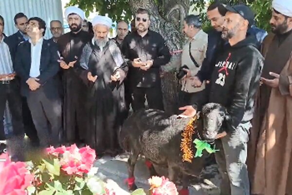 ۲ هزار بسته گوشت بین مدد جویان کمیته امداد مراغه توزیع شد