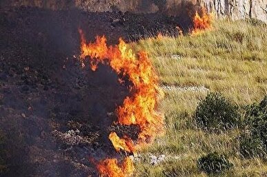 مهار آتش‌سوزی مراتع و جنگل‌های «پشت‌کوه ملاطهماسب» بهمئی