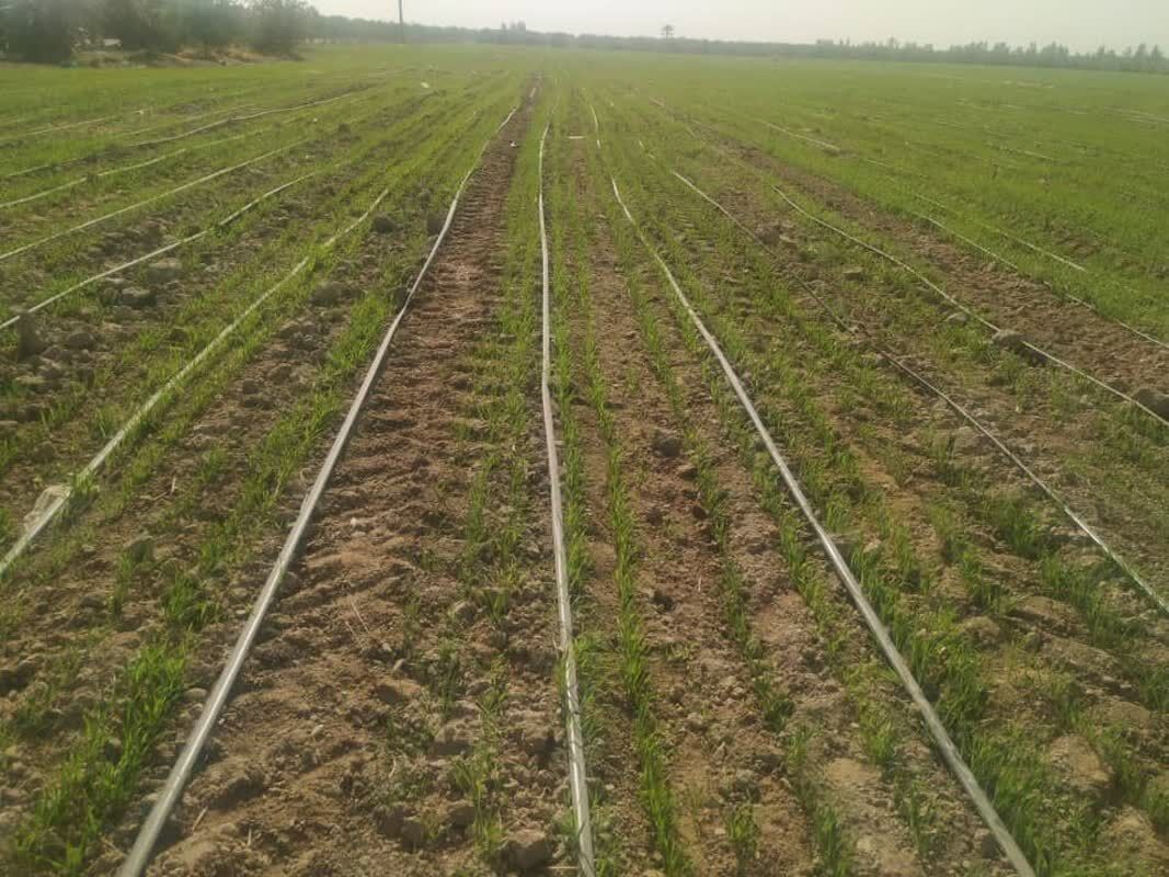 /files/fa/news/1405/3/9/3524275_938.jpg