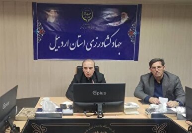 واردات ۱۱ قلم کالای اساسی از گمرک بیله‌سوار با تخصیص ۷۸ میلیون دلار ارز