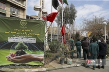 ظیبا