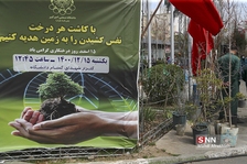 ظیبا