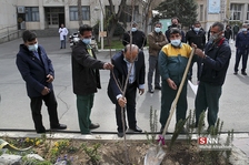 ظیبا