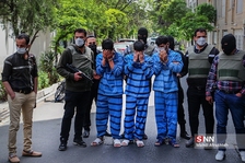 zdfhnn