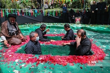 ثیفعه