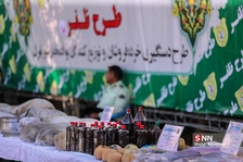 سقصغا