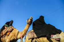 کمنئح