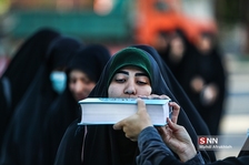 طبد