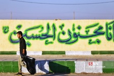 ضصب