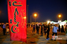 ضصب