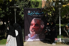 طبت