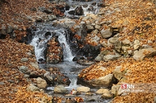 یزتل