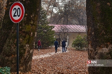 یزتل