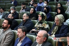سلی