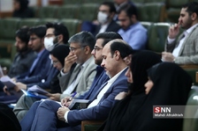 سلی