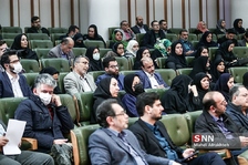 سلی