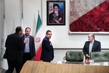 سلی