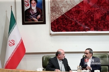 سلی