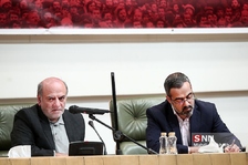 سلی