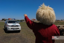 new