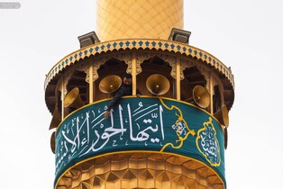 به مناسبت فرا رسیدن ایام ولادت حضرت فاطمه زهرا سلام‌الله علیها کتیبه‌های ‌ولادت آن حضرت در حرم مطهر امیرالمومنین علیه‌السلام نصب شد.