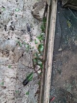 حمله سازمان‌یافته به حوزه علمیه ولایت در فلکه دوم تهرانپارس، فراتر از یک تخریب فیزیکی، هجمه‌ای به میراث معنوی مرکزی بود که نام طلبه شهید «امین‌عباس رشید» را بر تارک خود دارد؛ واقعه‌ای تلخ در شامگاه ۱۸ دی ۱۴۰۴ که با آتش‌سوزی عمدی و سرقت اسناد علمی همراه شد تا بار دیگر عمق عداوت با کانون‌های تبیین و مقاومت را آشکار سازد.
