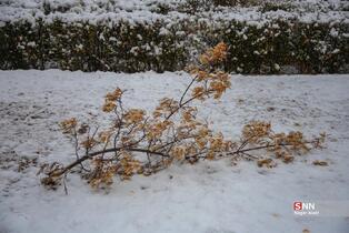 435345345345345345435345345345435