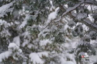 435345345345345345435345345345435