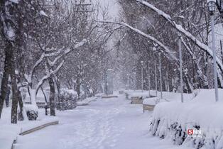 435345345345345345435345345345435