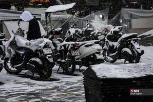 بارش برف در شمال شهر پایتخت