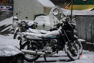 بارش برف در شمال شهر پایتخت