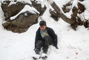 بارش برف در شمال شهر پایتخت