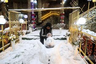 بارش برف در شمال شهر پایتخت