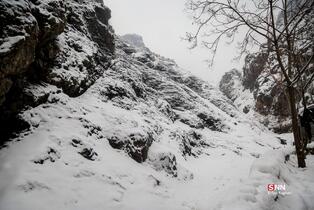 بارش برف در شمال شهر پایتخت