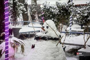 بارش برف در شمال شهر پایتخت