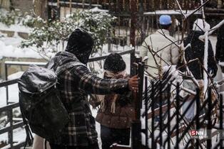 بارش برف در شمال شهر پایتخت