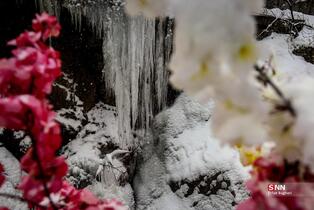 بارش برف در شمال شهر پایتخت