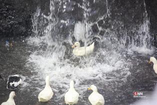 بارش برف در شمال شهر پایتخت