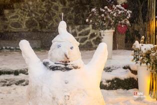 بارش برف در شمال شهر پایتخت