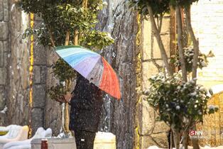 بارش برف در شمال شهر پایتخت