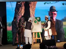 البوم نواها