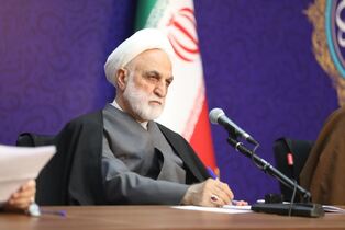 محسنی اژه ای