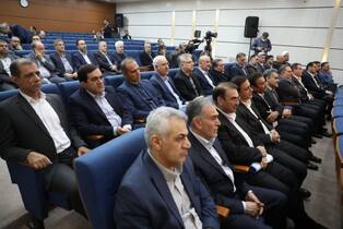 محسنی اژه ای