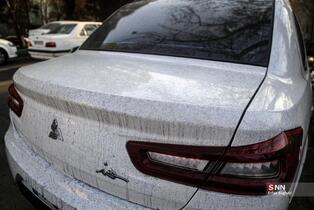 تهران در روز های پایانی سال