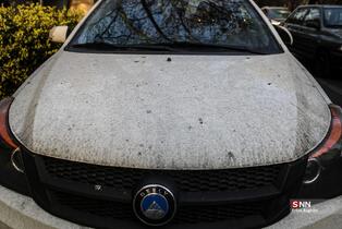 تهران در روز های پایانی سال