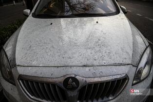 تهران در روز های پایانی سال